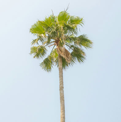 xx手机16系列_copy